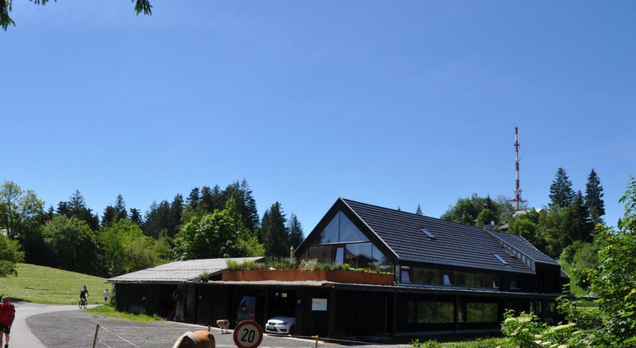 Ferienwohnung Reichart 洛查贝布里根 外观 照片